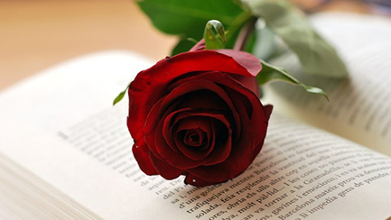 Els catalans compraran 7 milions de roses per Sant Jordi