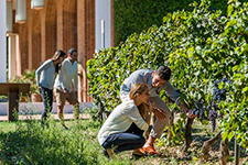 Les rutes d'Enoturisme Penedès, les segones d'Espanya que més visitants van rebre el 2016